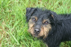 1000429_10200540800975753_588061650_n