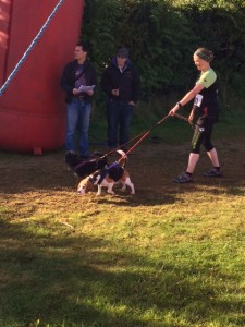 The start line in Bella's first race..... She looks more keen than Ozzie!