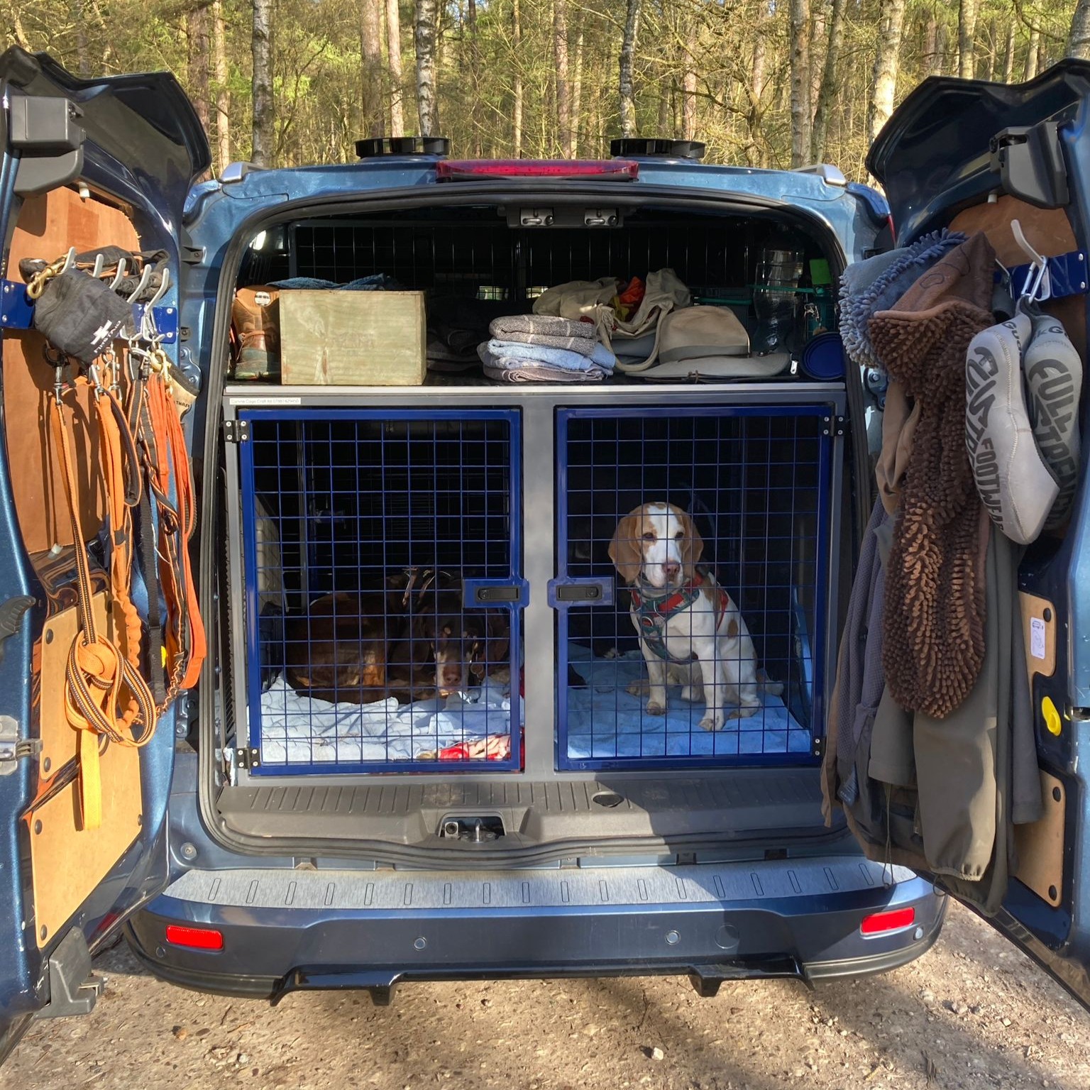 Dog safe in transport